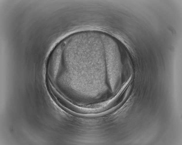 X0000111041508200907161334