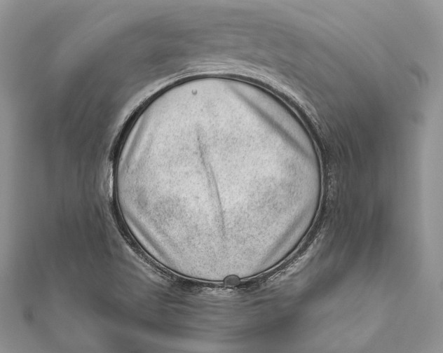 X0000111041509200907161334