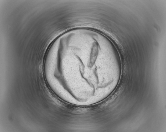 X0000111041513200907161334