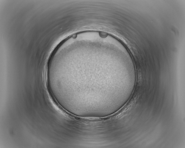 X0000111041515200907161334