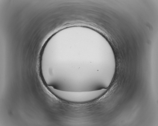 X0000111041518200907161334