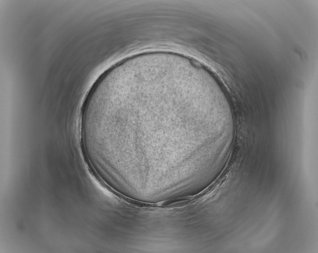 X0000111041519200907161334