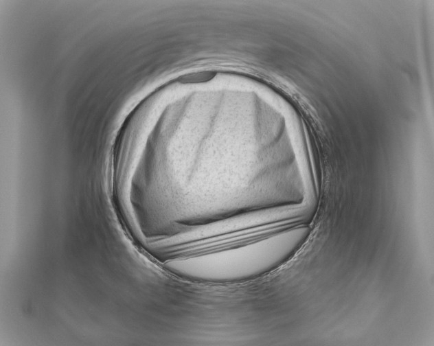 X0000111041520200907161334