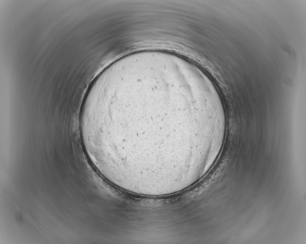 X0000111041521200907161334