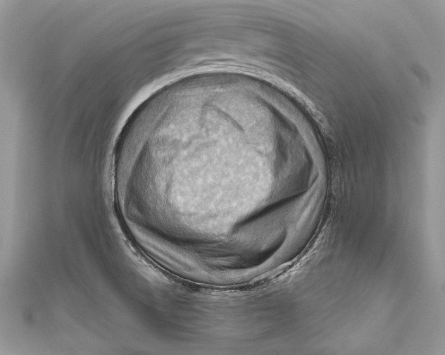 X0000111041522200907161334