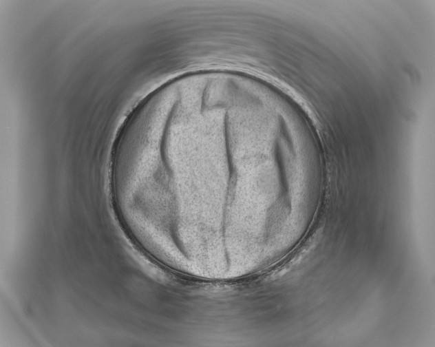 X0000111041525200907161334