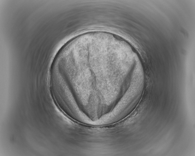 X0000111041527200907161334