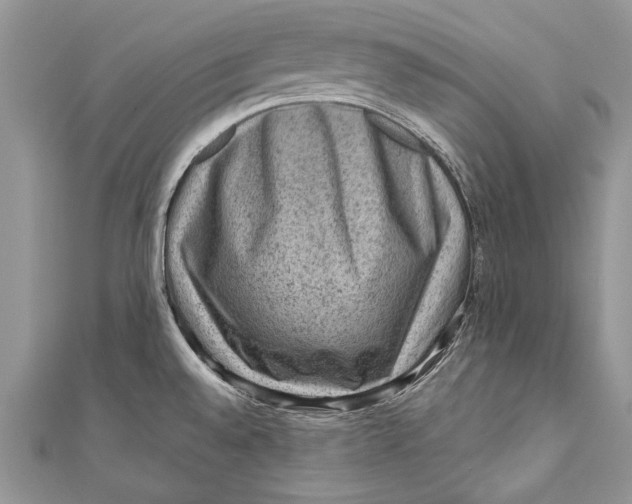 X0000111041528200907161334