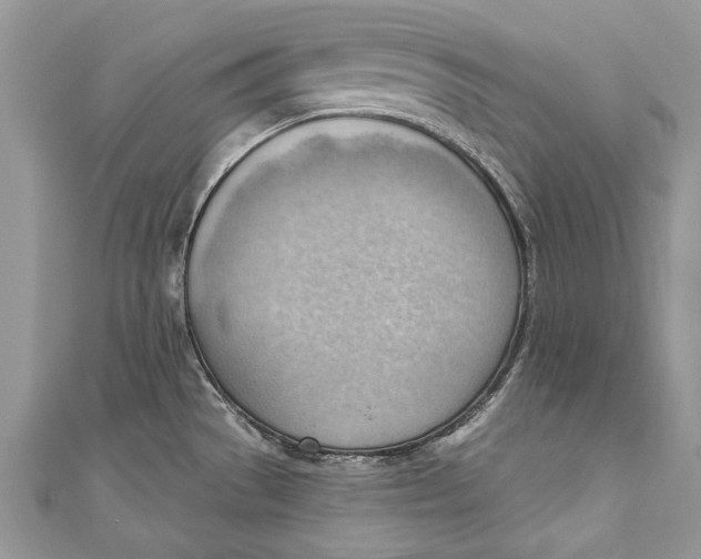 X0000111041529200907161334