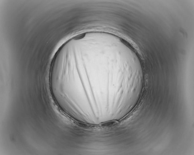 X0000111041530200907161334