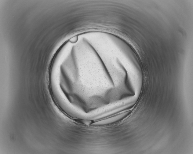 X0000111041531200907161334