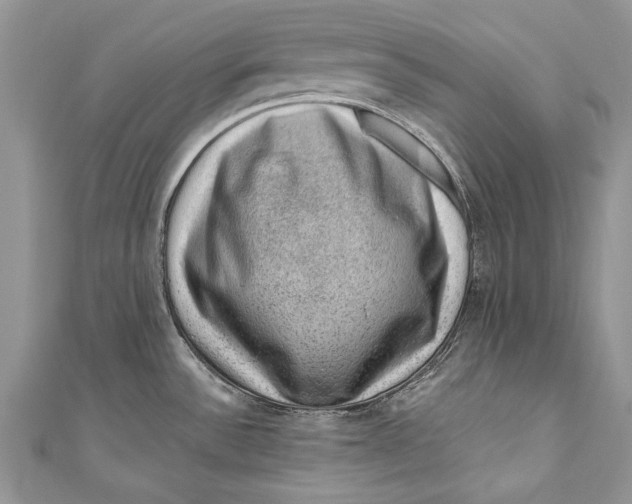 X0000111041532200907161334