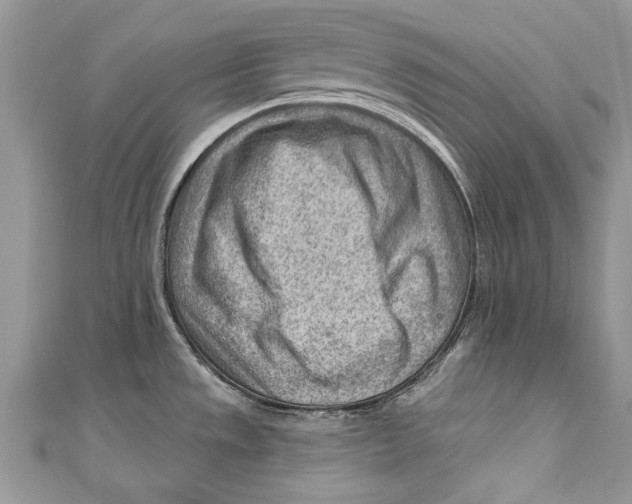 X0000111041533200907161335