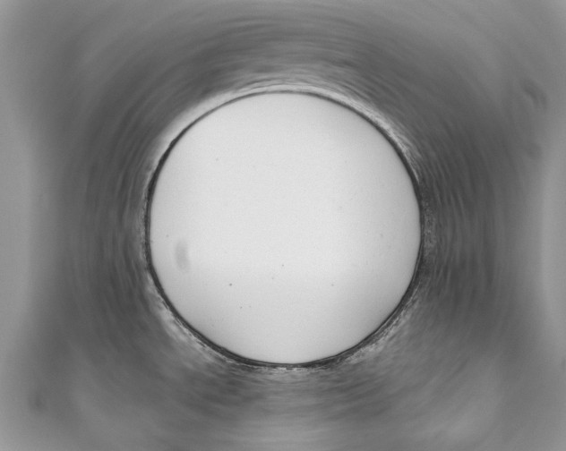 X0000111041534200907161335