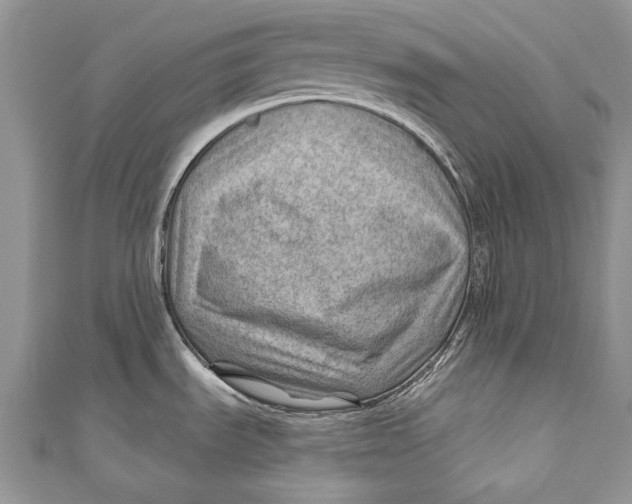 X0000111041535200907161335