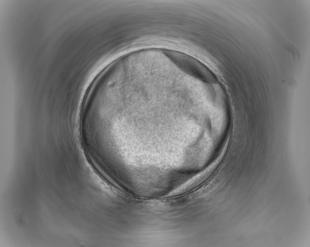 X0000111041536200907161335