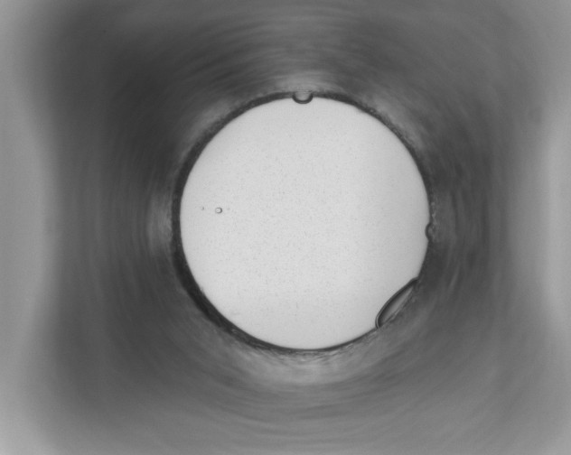 X0000111040015200907231545