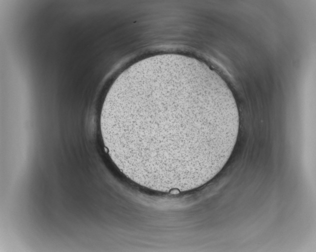 X0000111040016200907231545