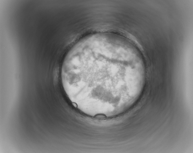 X0000111040018200907231545