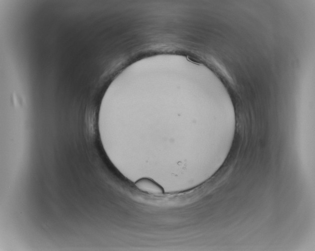 X0000111040023200907231545