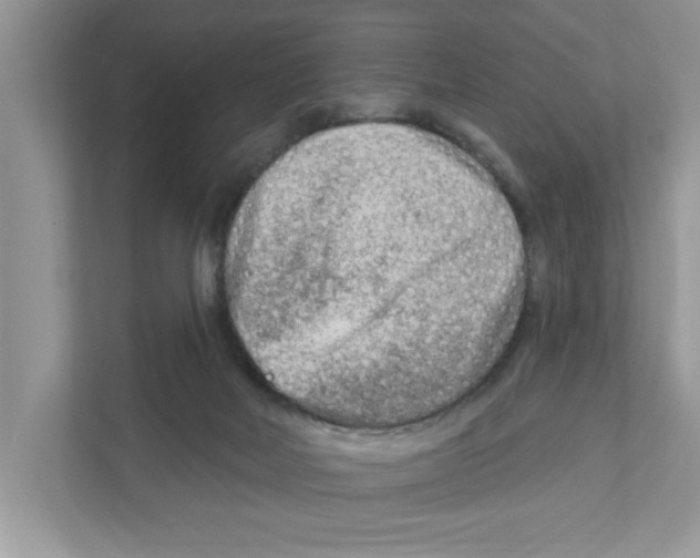 X0000111040026200907231544