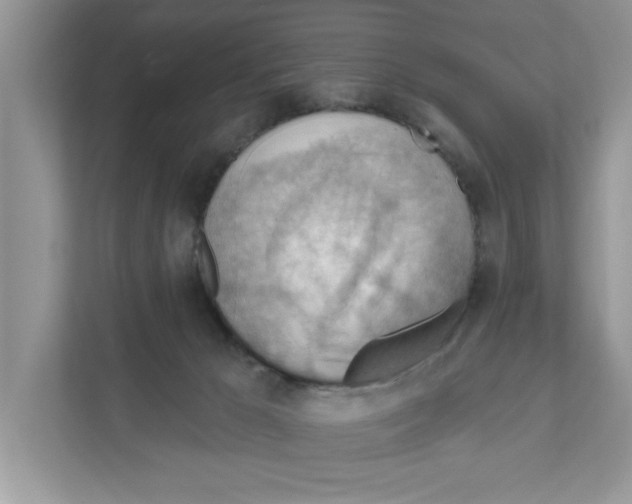 X0000111040029200907231544