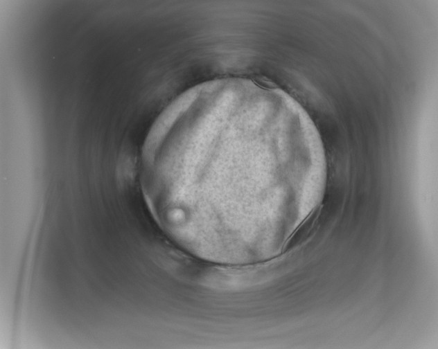 X0000111040033200907231544