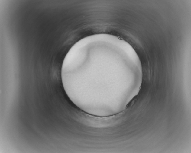 X0000111040035200907231544