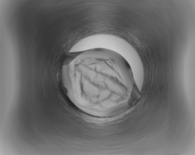 X0000111040039200907231544