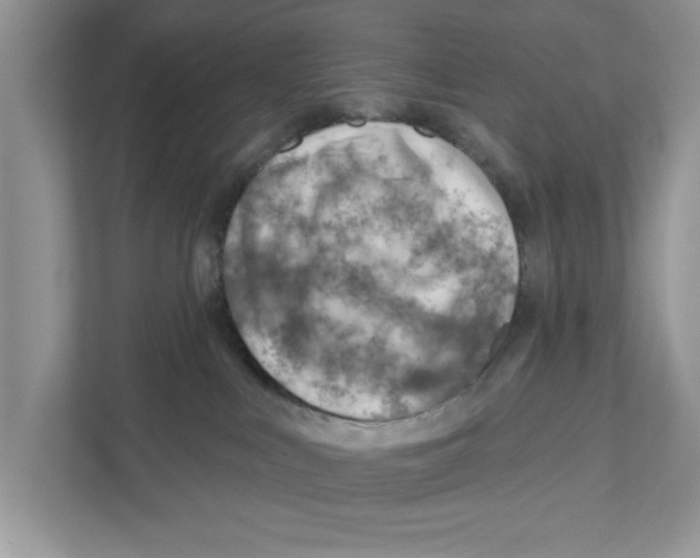 X0000111040043200907231544