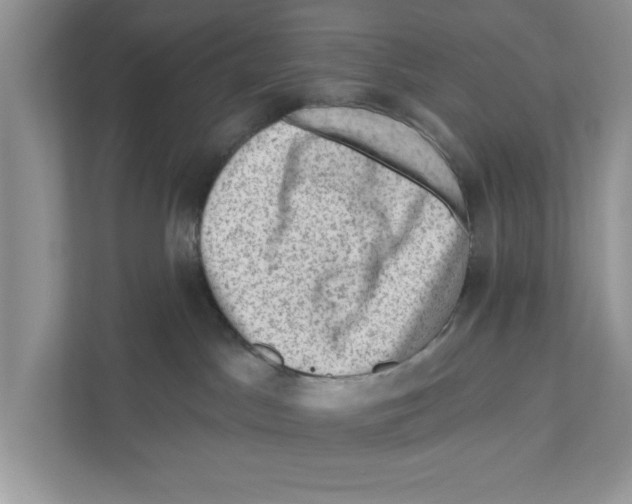 X0000111040045200907231544