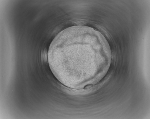 X0000111040046200907231544