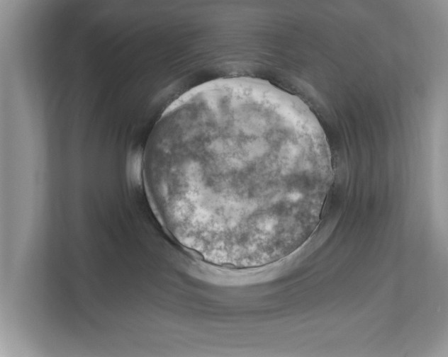 X0000111040047200907231544