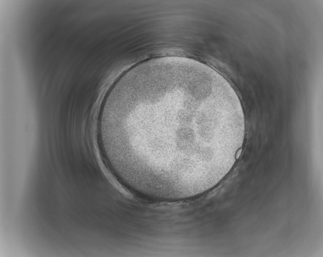 X0000111040049200907231544