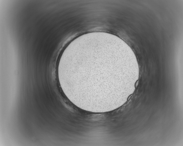 X0000111040050200907231544