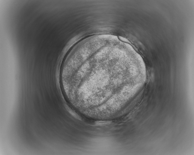 X0000111040051200907231544