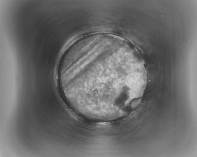 X0000111040053200907231544