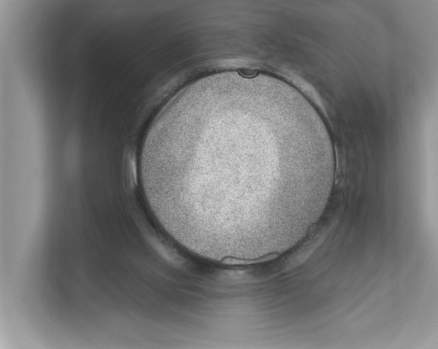 X0000111040061200907231544