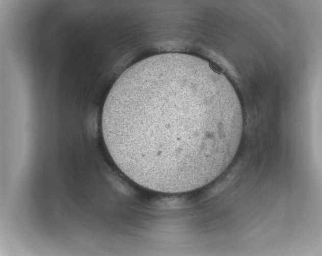 X0000111040065200907231544