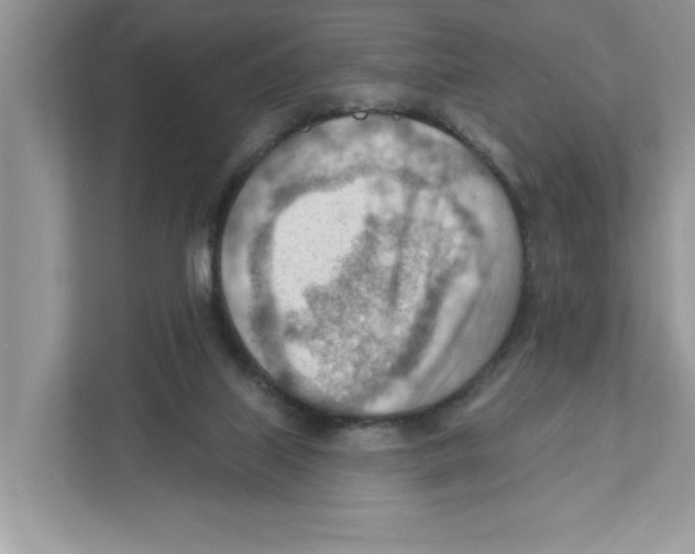 X0000111040067200907231544