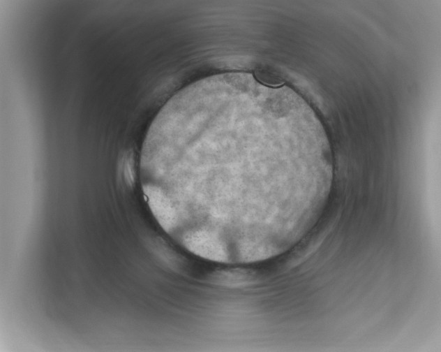 X0000111040069200907231544