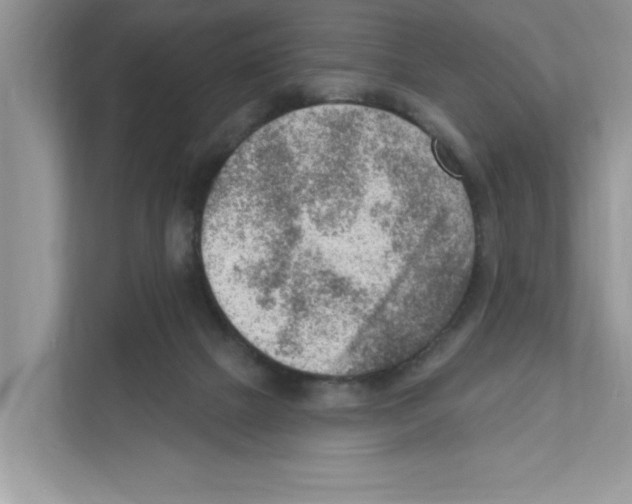 X0000111040073200907231544