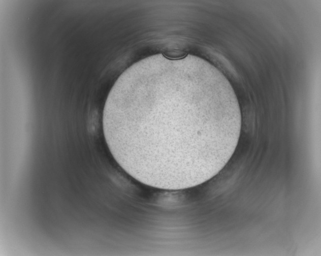 X0000111040077200907231544