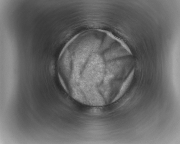 X0000111040080200907231544