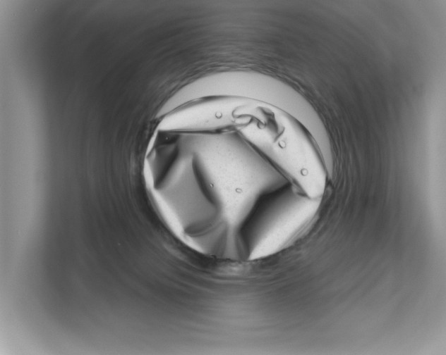 X0000111040084200907231544