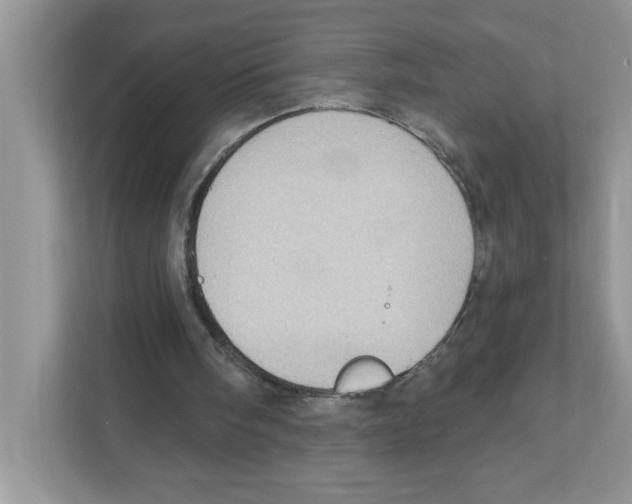 X0000111040098200907231544