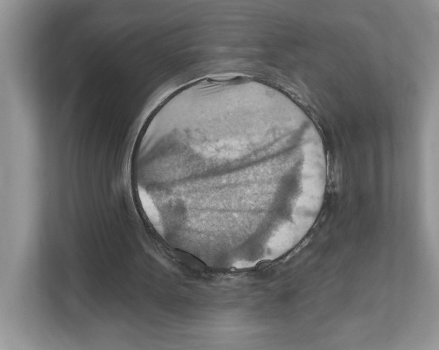 X0000111040099200907231544