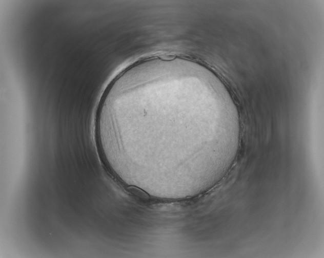 X0000111040100200907231544