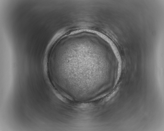 X0000111040101200907231544