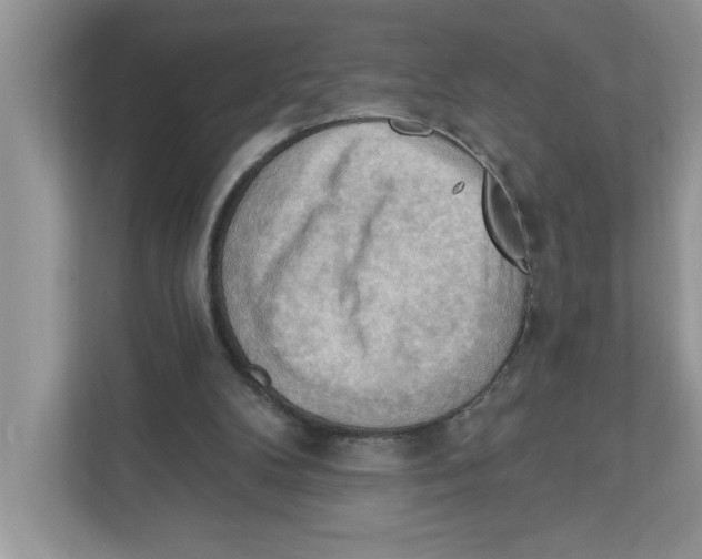 X0000111040104200907231543